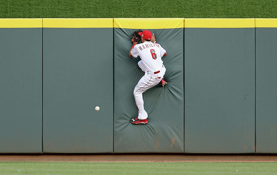 Randal Grichuk Photograph by Andy Lyons Randal Grichuk Photograph by Andy Lyons