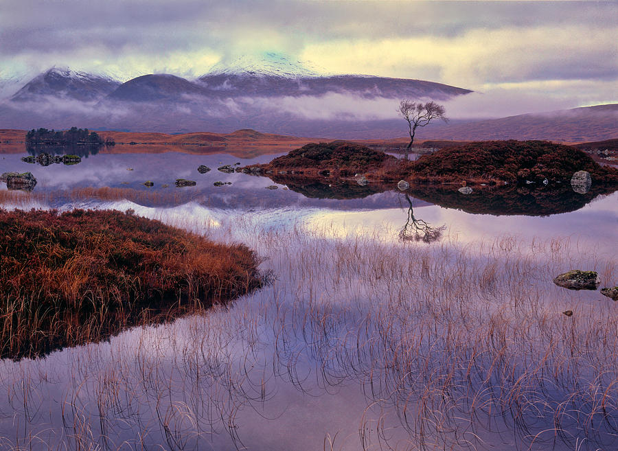 Rannoch Moor Scotland Photograph By Navin Mistry Fine Art America