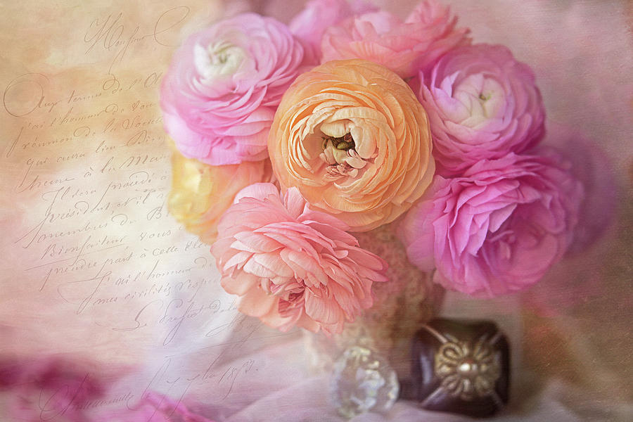 Ranunculus and Doorknobs Photograph by Cindi Ressler