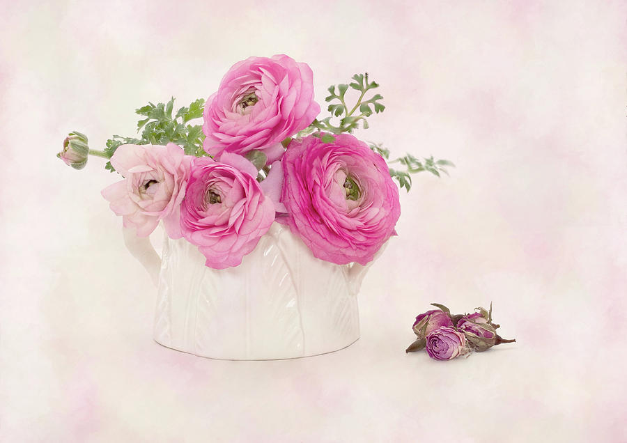 Ranunculus Bouquet Photograph by Denis O Reilly