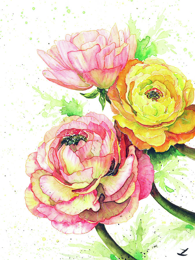 Ranunculus Flowers Painting by Zaira Dzhaubaeva