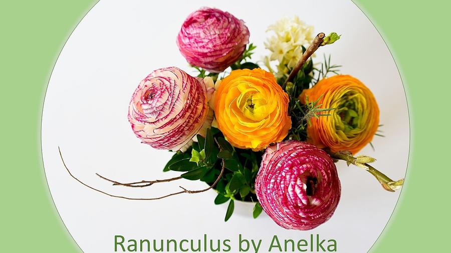 Ranunculus Mixed Media by Nancy Ayanna Wyatt