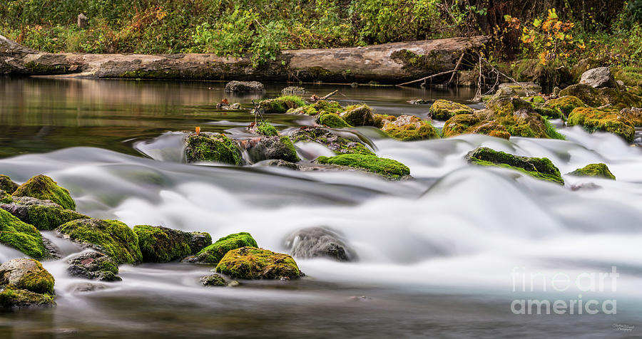 Rapids At Bennett Spring Pano Photograph by Jennifer White