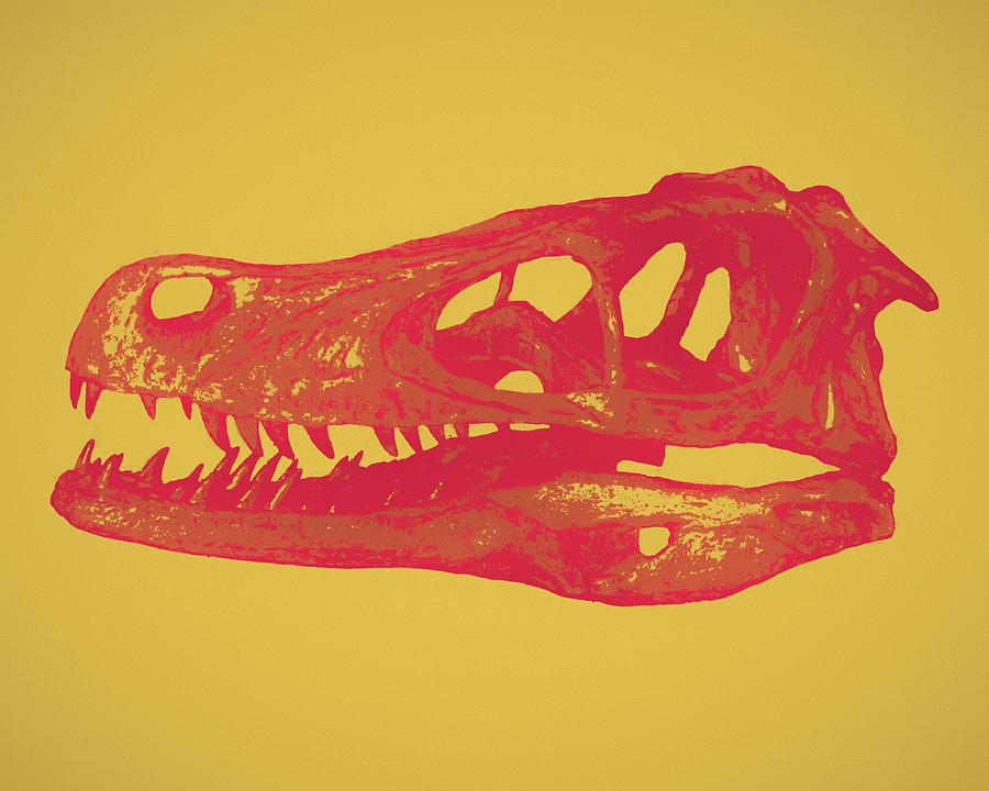Raptor Skull Mixed Media by Dan Sproul