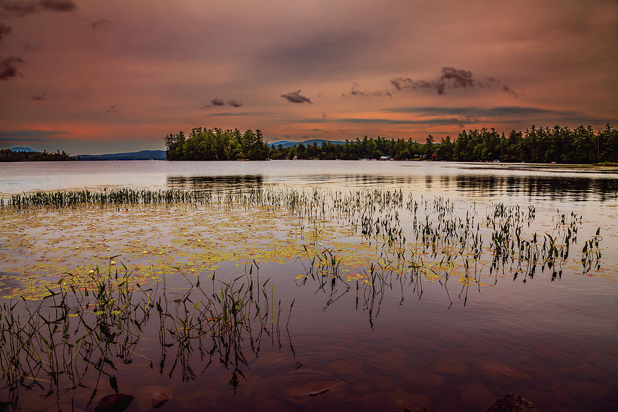 Raquette Lake Calm Photograph by David Patterson
