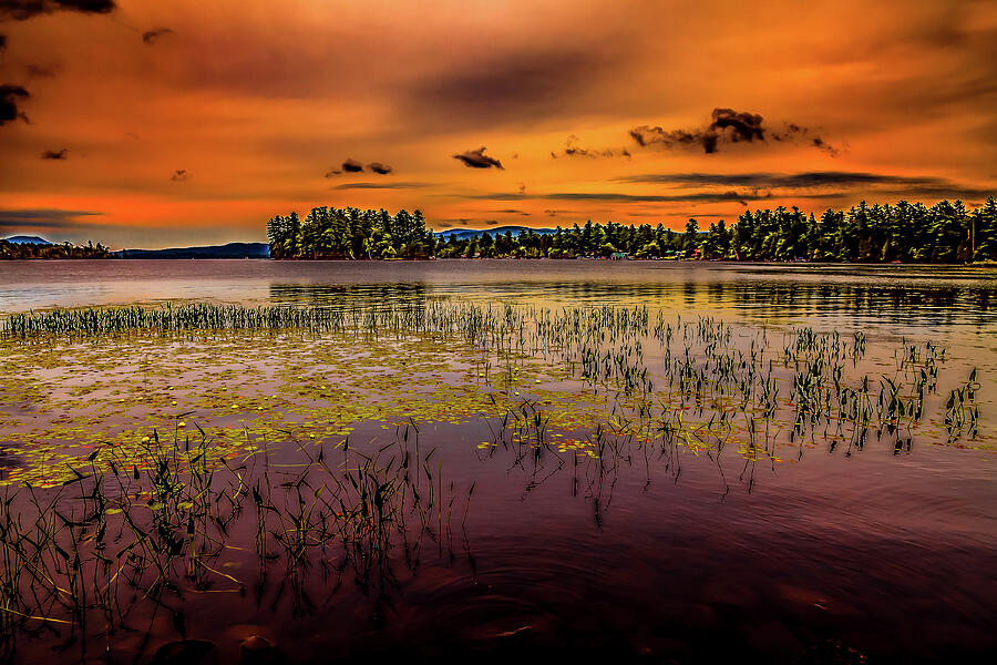Raquette Lake Shoreline Photograph by David Patterson