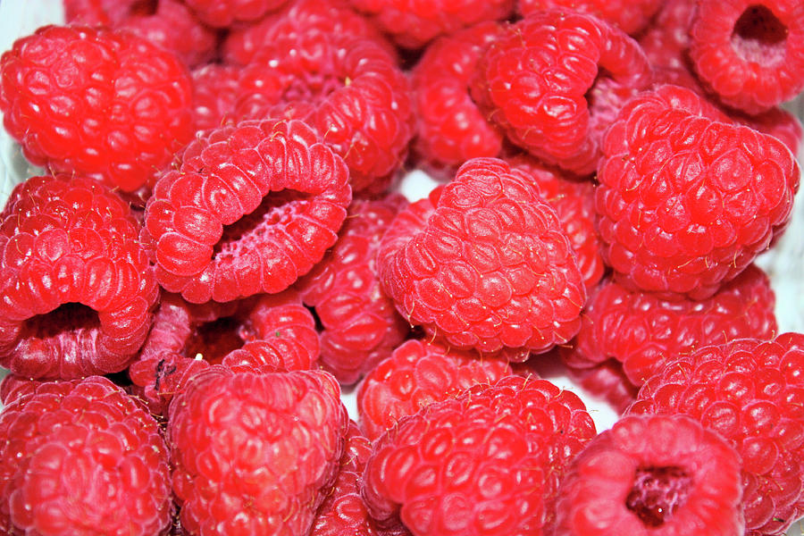 Raspberries Photograph by Kristin Elmquist