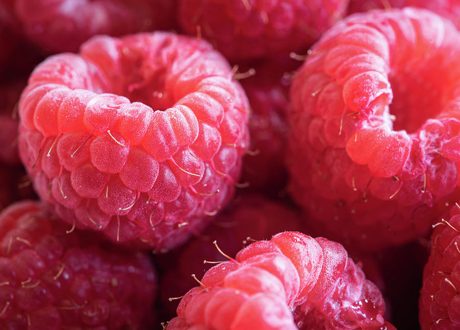 Raspberries  Photograph by Lori Rowland