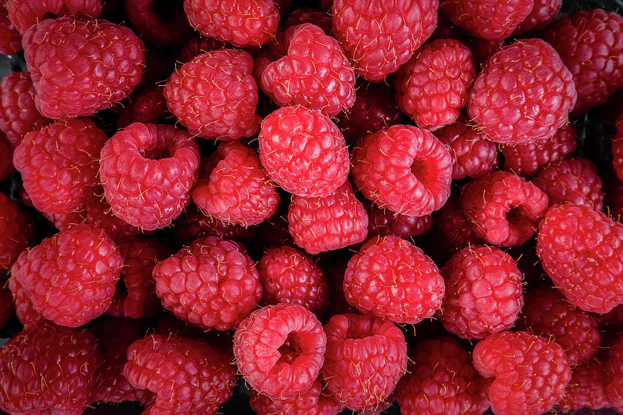Raspberries Photograph by Nigel R Bell