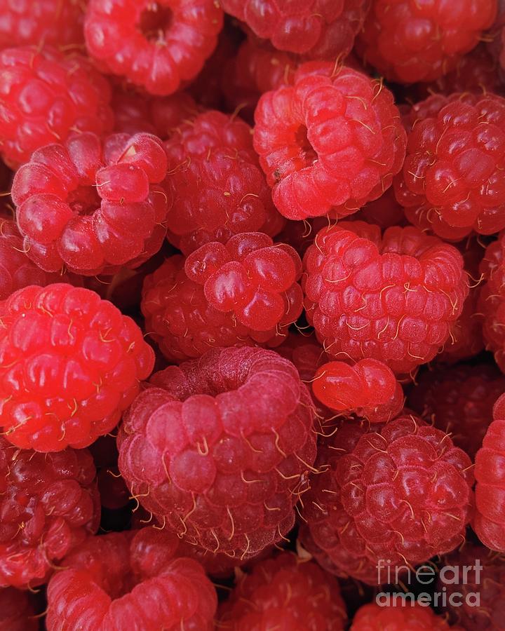 Raspberry Challenging Expert Jigsaw Puzzle Photograph by Edward Fielding