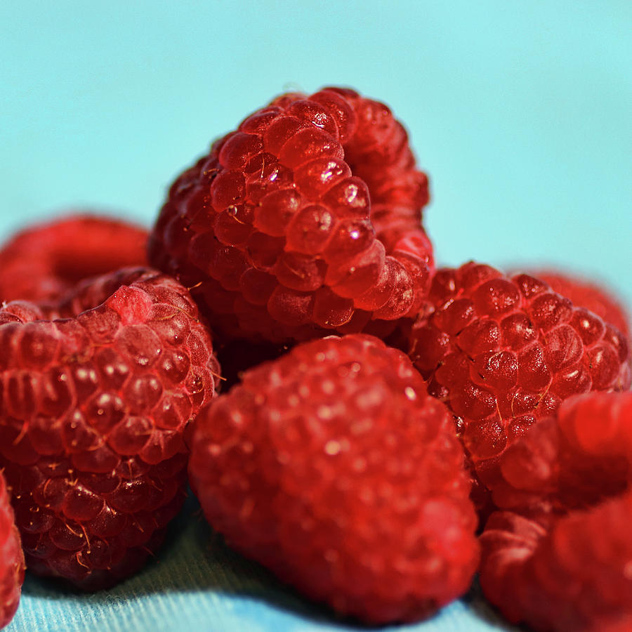 Raspberry Study Photograph by Mike Smale