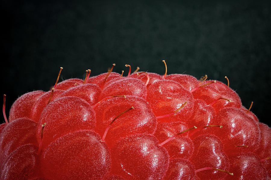 Raspberryscape Photograph by Nigel R Bell