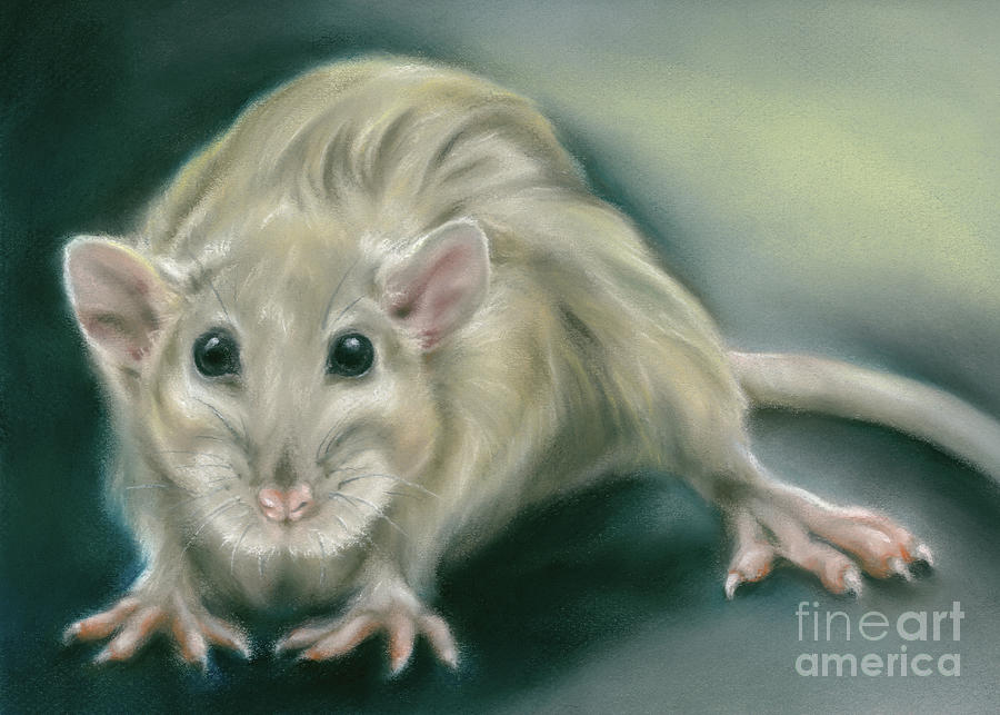 Rat Portrait Nocturne Painting by MM Anderson