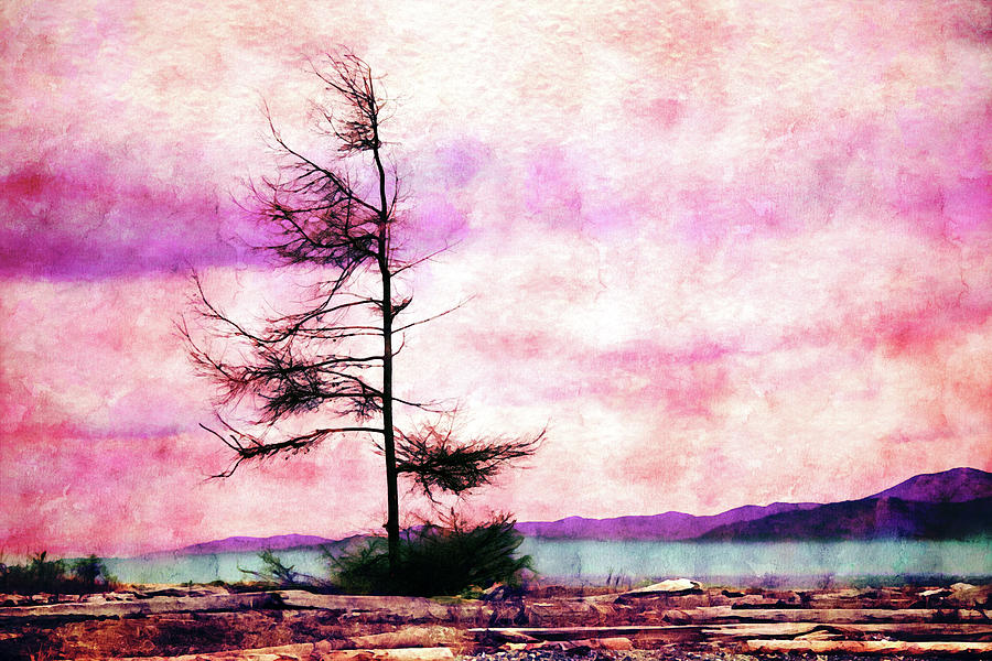 Rathtrevor Beach Provincial Park Mixed Media by Peggy Collins