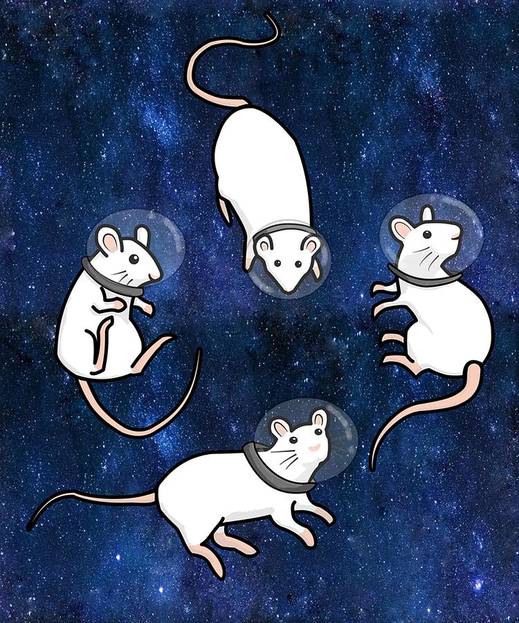 Rats in Space Digital Art by Gary Zalatan Fine Art America