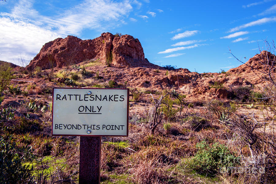 Rattlesnakes Only Sign Photograph by David Arment