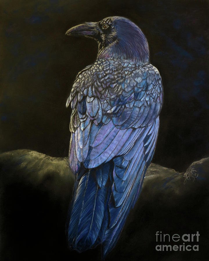 Raven Pastel - Raven 1 by Lesa Aker