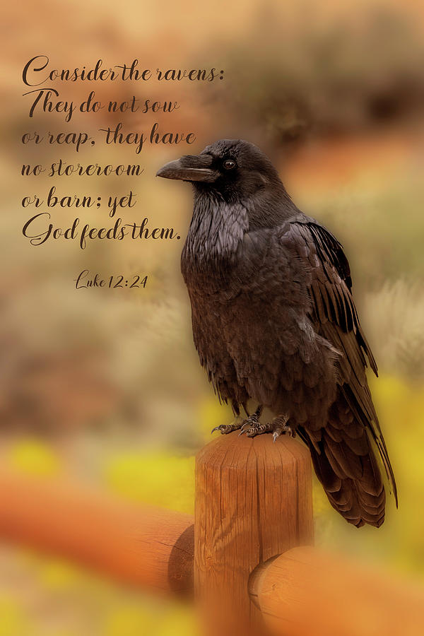 Raven and Bible Verse Photograph by Paul Giglia