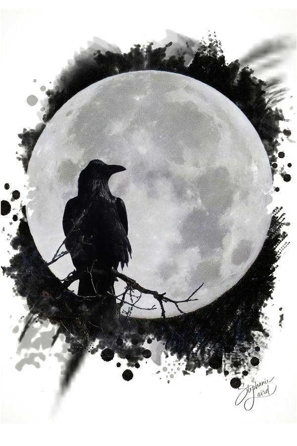 Raven and Moon Photograph by Stephanie Laird