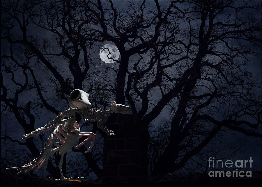 Raven Photograph - Raven and Rat Skeleton in Moonlight - Halloween by Colleen Cornelius