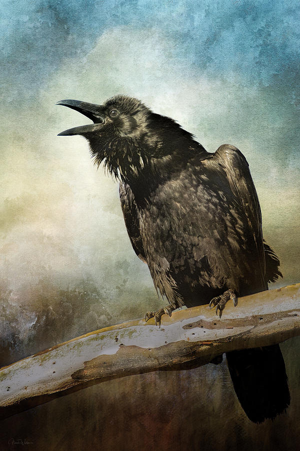 Raven Digital Art - Raven Call by Nicole Wilde