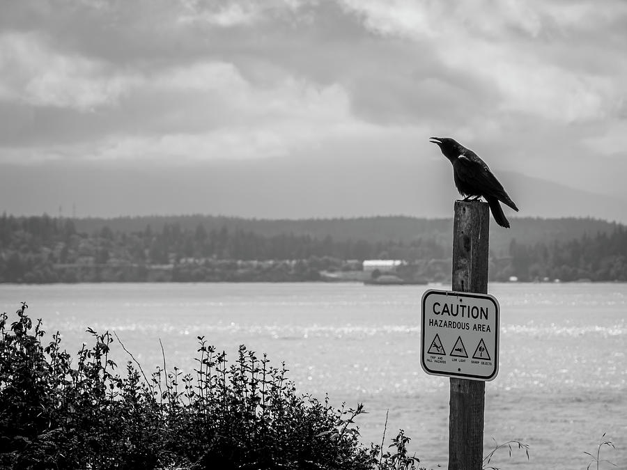 Raven Caws on Hazardous Area Sign Post Photograph by Mary Lee Dereske