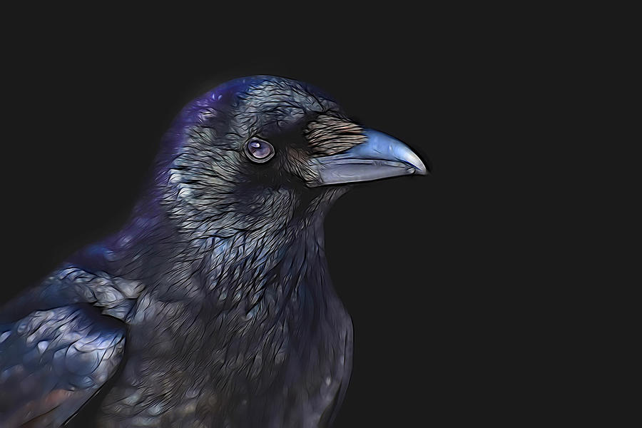 Raven Face Mask Digital Art by Theresa Tahara