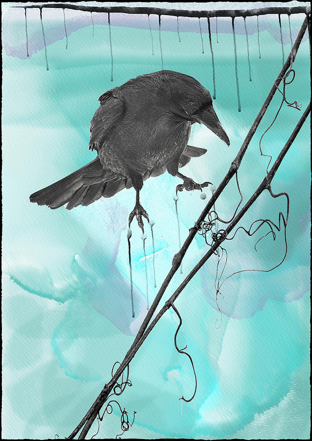 Raven Ice Melt Digital Art by Sue Capuano