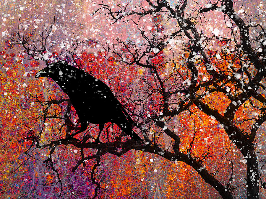 Raven in The Snow Digital Art by Sandra Selle Rodriguez