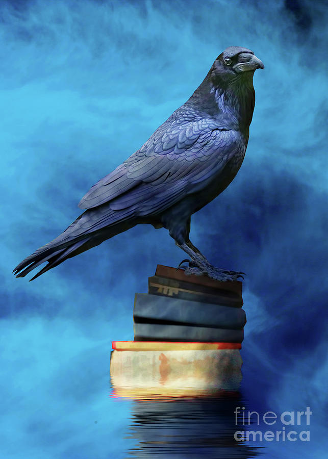 Raven Magic with Books Photograph by Stephanie Laird