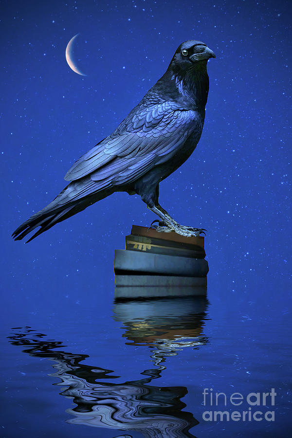 Raven on Floating Books with a Crescent Moon Mystical and Magical Photograph by Stephanie Laird