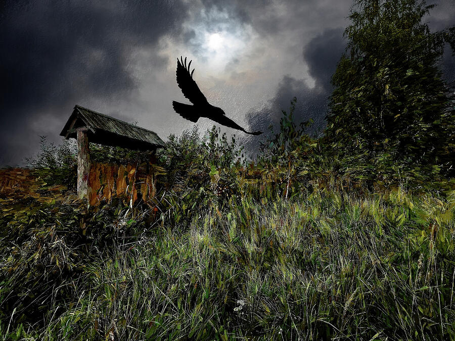 Raven / Once Upon A Midnight  Mixed Media by Aleksandrs Drozdovs