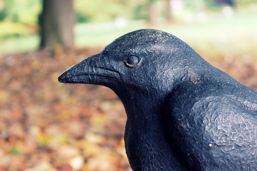 Raven Sculpture Photograph by Joseph Skompski