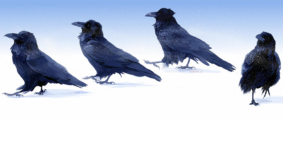 Raven  Strutters Painting by Pam Little