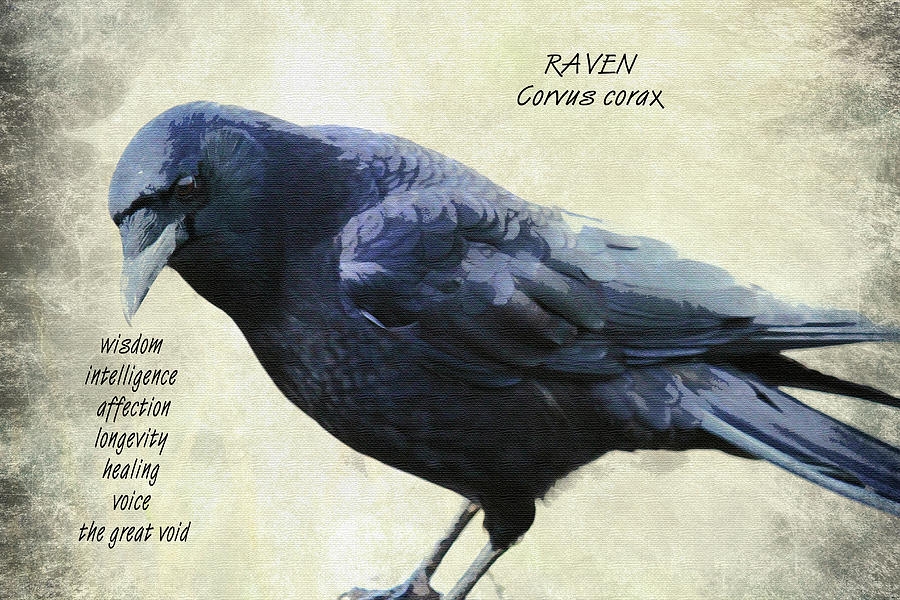 Raven Symbolism Digital Art by Marie Jamieson