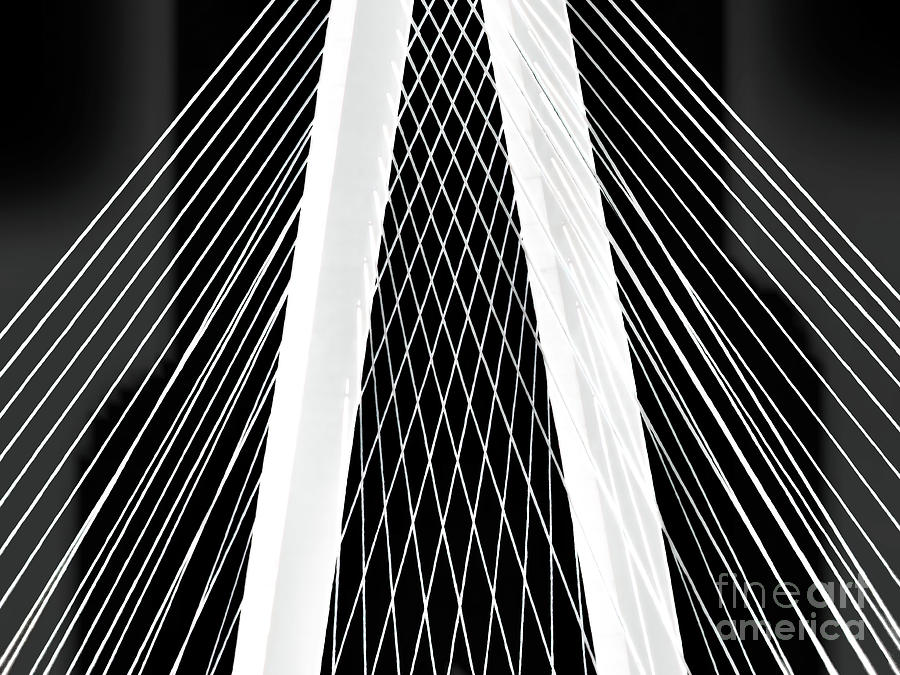 Ravenel Bridge Abstract - Black and White Photograph by Scott Cameron