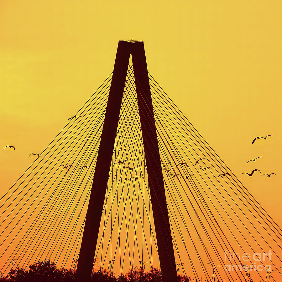 Ravenel Bridge at Sunset Photograph by Scott Cameron