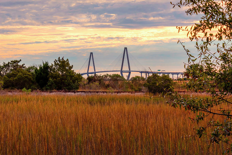 Ravenel Bridge Beyond The Marsh Photograph by Denise Harty Ravenel Bridge Beyond The Marsh Photograph by Denise Harty