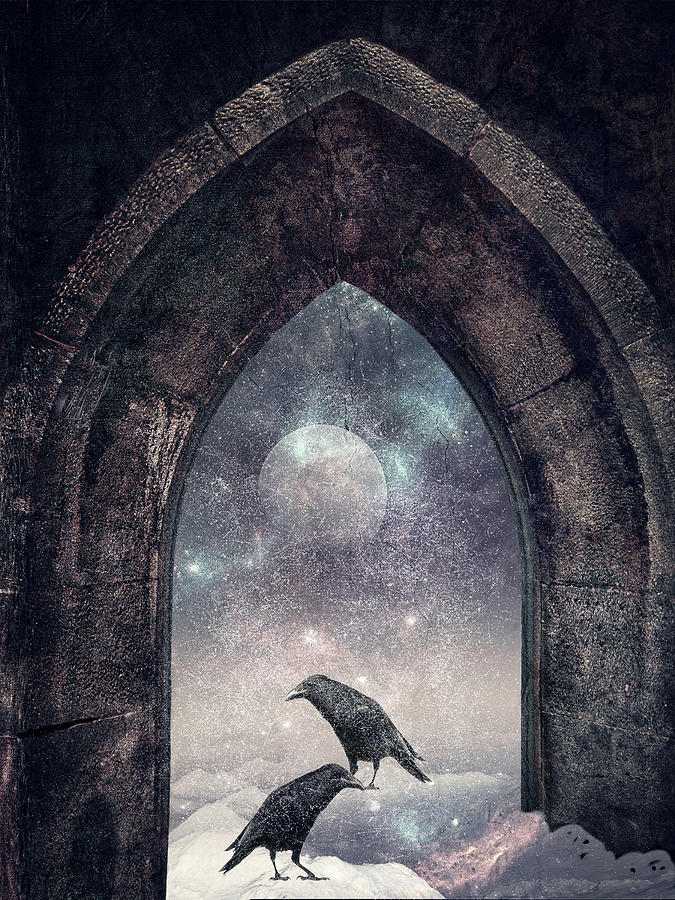 Ravens Cosmic Bridge Digital Art by Sandra Selle Rodriguez