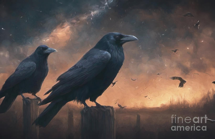 Ravens Digital Art by Jim Hatch