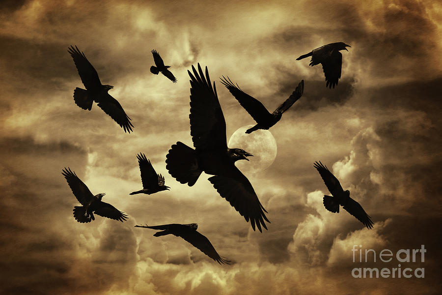 Ravens Moon Sepia Mystical Photograph by Stephanie Laird