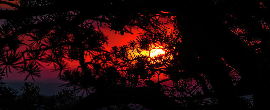 Ravens Roost Sunset June 1st 2022_d Photograph