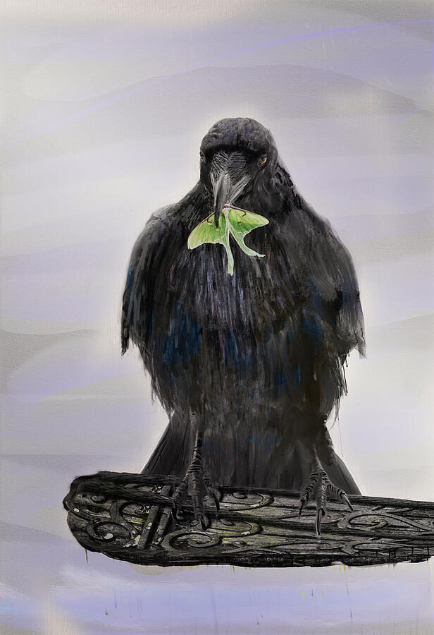 Ravens Treat Digital Art by Sue Capuano Ravens Treat Digital Art by Sue Capuano