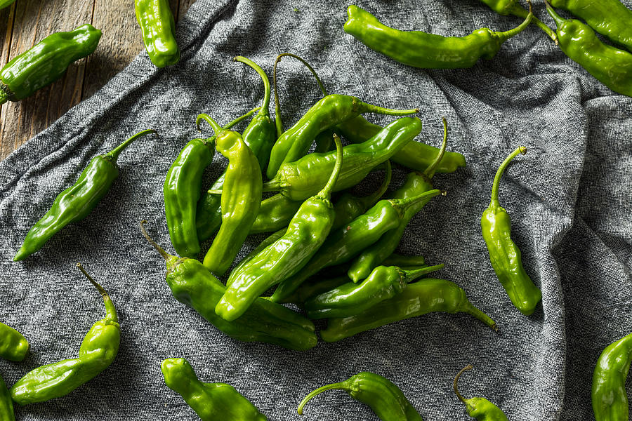 Raw Green Organic Shishito Peppers Photograph by Bhofack2