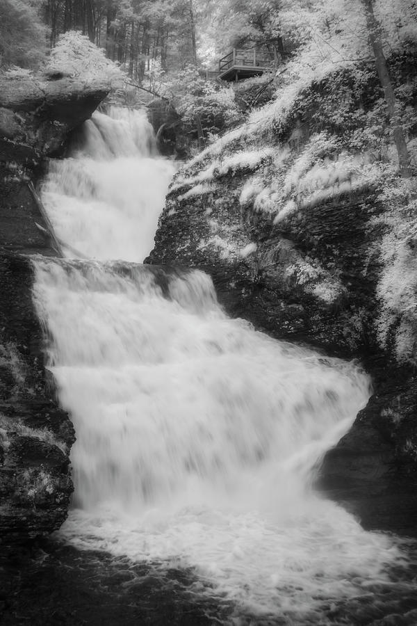 Raymondskill Falls IR Photograph by Susan Candelario