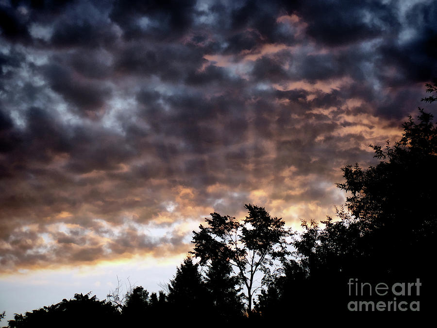 Rays Of Dawn Photograph by AnnMarie Parson-McNamara