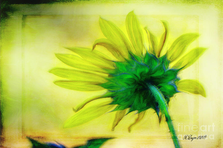 Rays of Summer Digital Art by Rebecca Langen