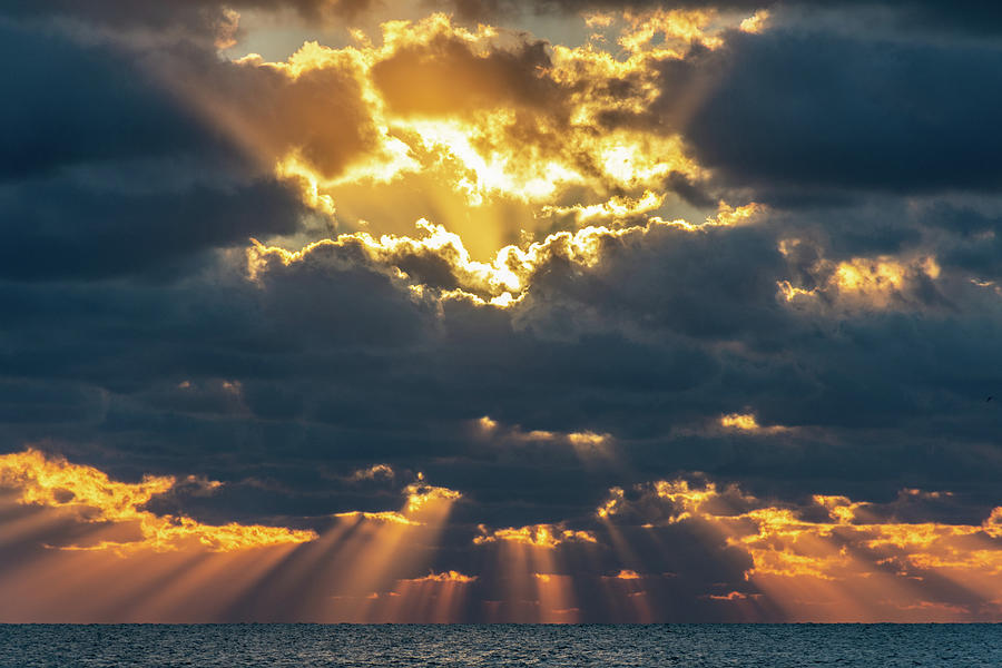 Rays of Sunlight  Photograph by David Hart