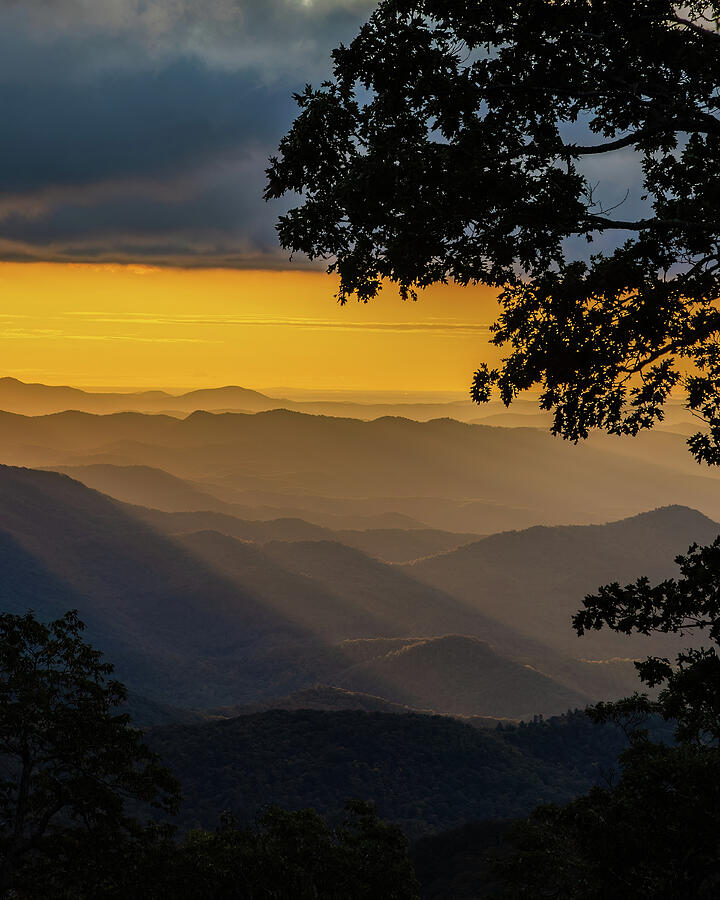 Rays Of Sunrise Photograph by Dodie Ross Rays Of Sunrise Photograph by Dodie Ross