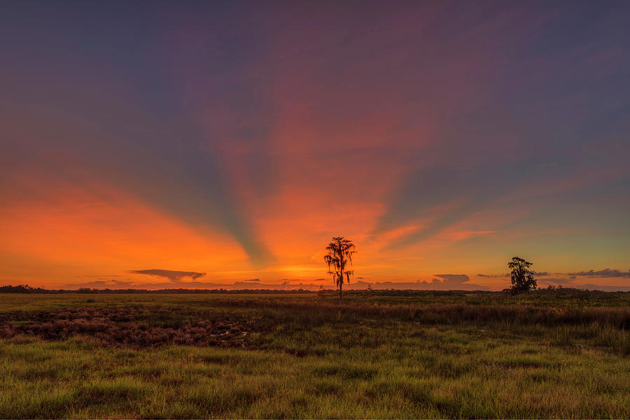 Rays Over the Ranch Photograph by Justin Battles
